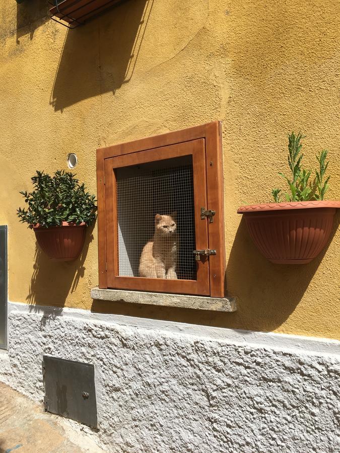 Albergo Le Sorgenti Chianciano Terme Eksteriør bilde